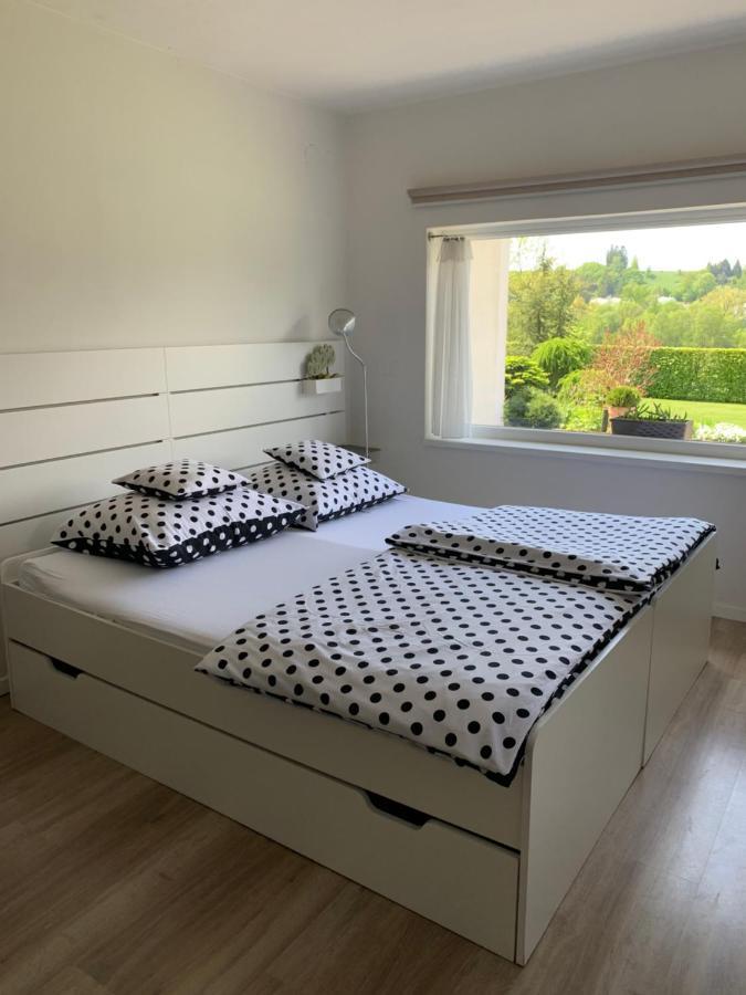 Studiovy Apartman V Zahrade Police nad Metují المظهر الخارجي الصورة